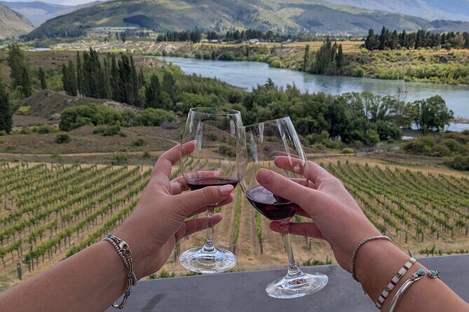 Wanaka: Vines, Wines & Good Times  Wanaka Half-Day Tour - Detailed Breakdown of the Itinerary