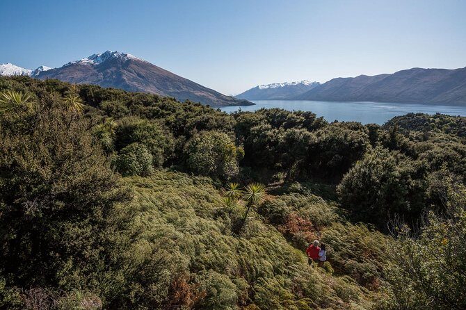 Wanaka Water Taxi Mou Waho Island Tour - Who Will Love This Tour?