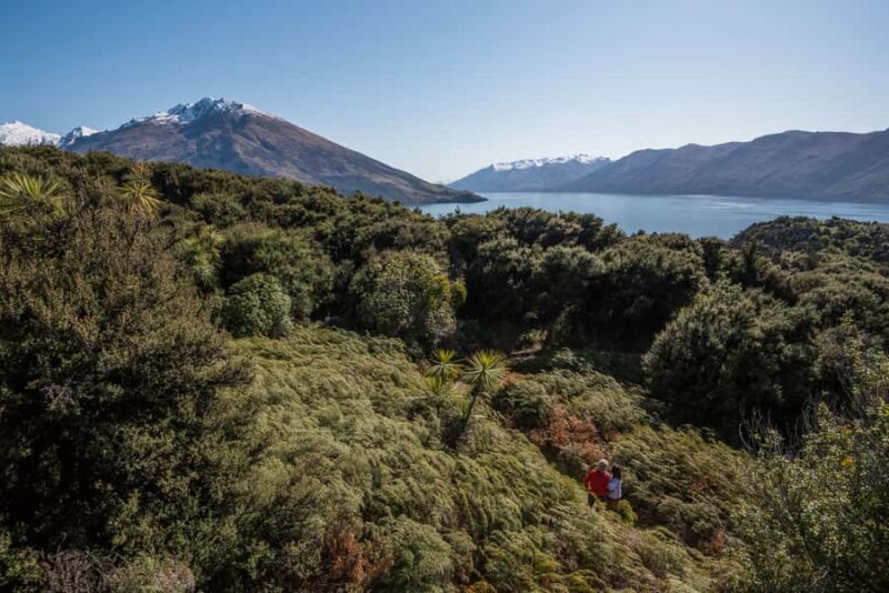 Wanaka: Water Taxi & Mou Waho Island Tour - The Experience and Value