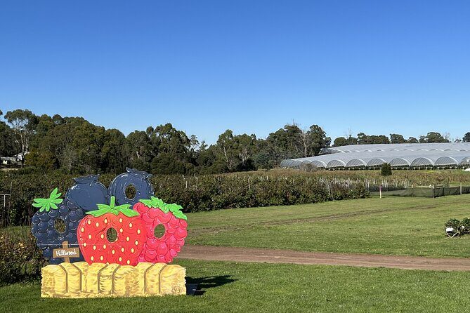 Wander the Tamar Valley - Hillwood Berries Farmgate: The Fresh Start