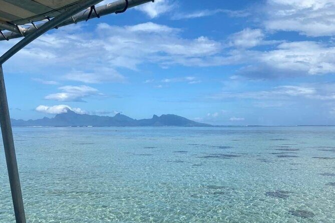 Want to escape? Treat yourself to a snorkeling session in Tahiti! - Final Thoughts on This Tahiti Snorkeling Tour