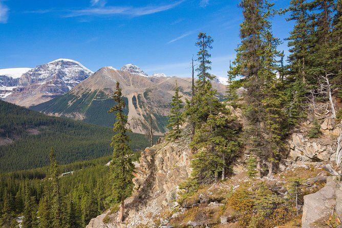Wapiti - Uncover the Beauty of Western Canada (7-days) - Who Should Book This Tour?