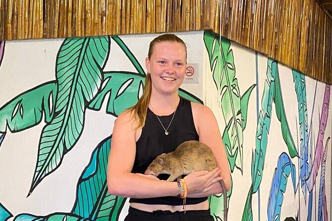 War Museum, Killing Field, and APOPO Hero RATs Tour - Practical Details and Value