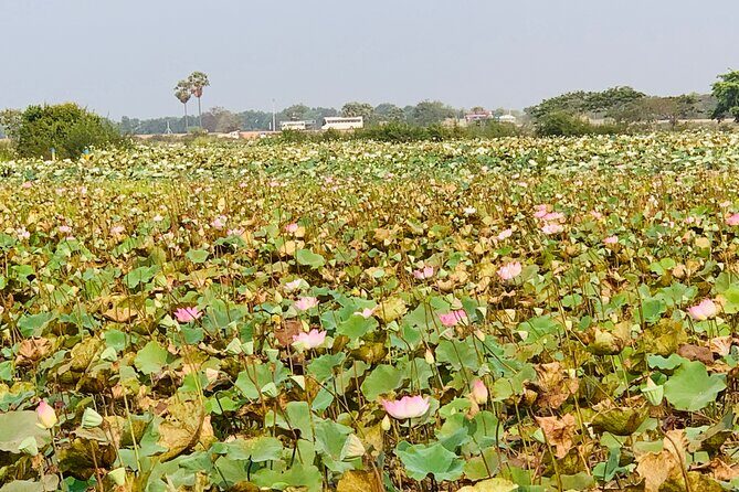 War Museum, Killing Field and Floating village ( Chong Kneas) Tour - Why This Tour Matters
