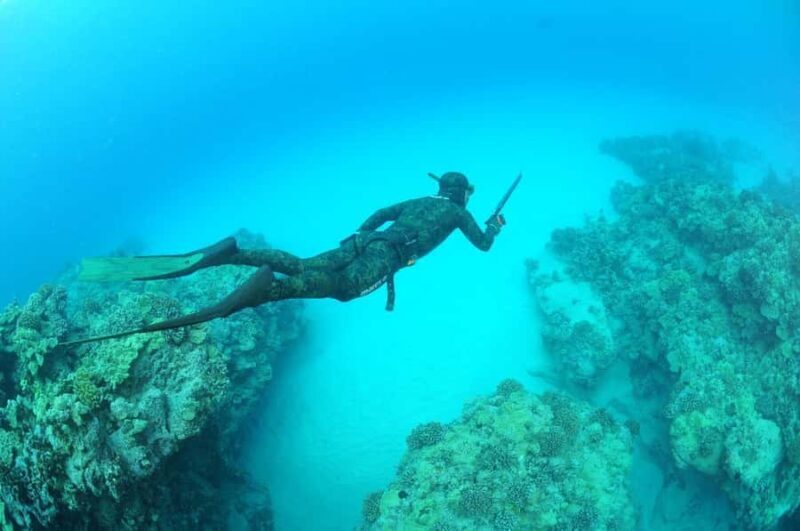 Warkworth: SSI Basic Freediving Course - What to Expect from the Warkworth Freediving Course