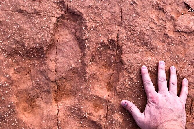 Warner Valley Dinosaur Track Site 4x4 Tour - Final Thoughts