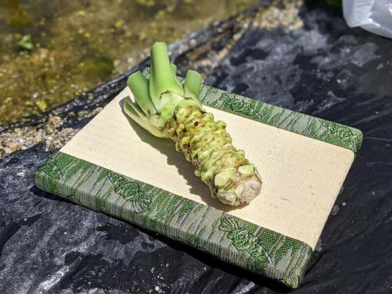 Wasabi Farm Walking Tour with Lunch - Final Thoughts: Who Should Consider This Tour?