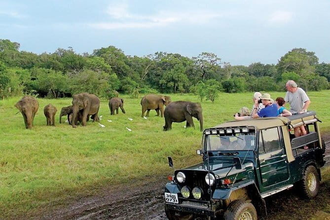 Wasgamuwa National Park Entrance Ticket with Private Safari - Who Should Consider This Tour?