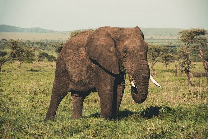 Wasgamuwa National Park Private Safari - Key Points