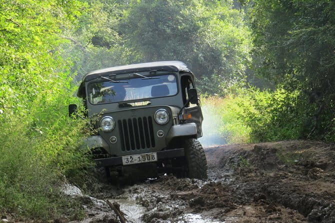 Wasgamuwa National Park Safari from Kandy - Detailed Breakdown of the Itinerary