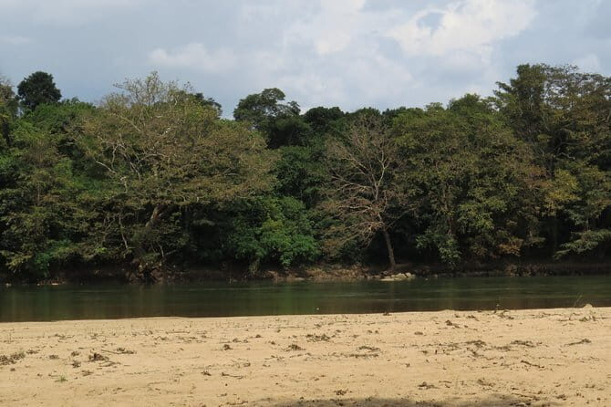 Wasgamuwa National Park Safari from Kandy - Authentic Experiences and Feedback