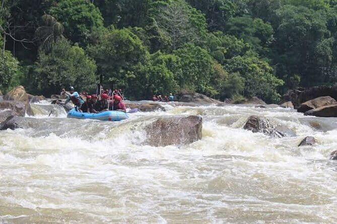 Wasgamuwa National Park Safari from Kandy - Who Should Take This Tour?