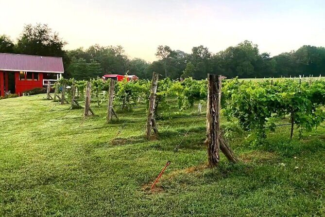 Washington County Wednesday Winehop and Bingo Cruise - FAQs
