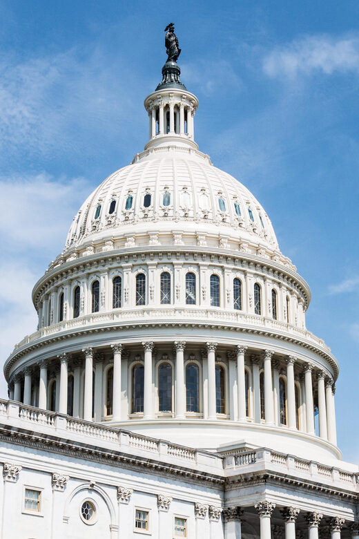 Washington D.C. 1 Day Tour from New York City - Practical Tips for the Day