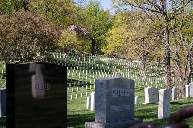 Washington DC: Arlington Nat. Cemetery Ticket & Tram Tour - The Sum Up: Who Will Enjoy This Tour?