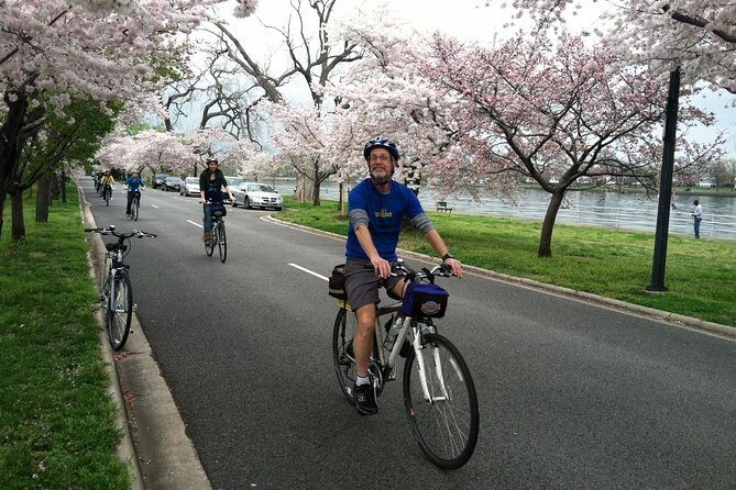 Washington DC Cherry Blossoms By Bike Tour - Who Will Love This Tour