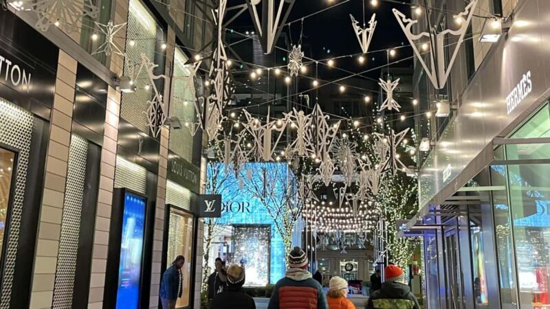 Washington, DC: Christmas Tree & Holiday Lights Bus Tour - The Itinerary: What to Expect