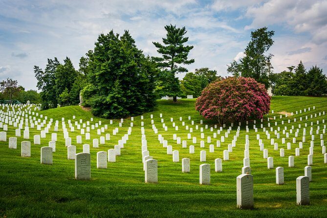Washington DC Day Tour from New York City - Who Would Enjoy This Tour?