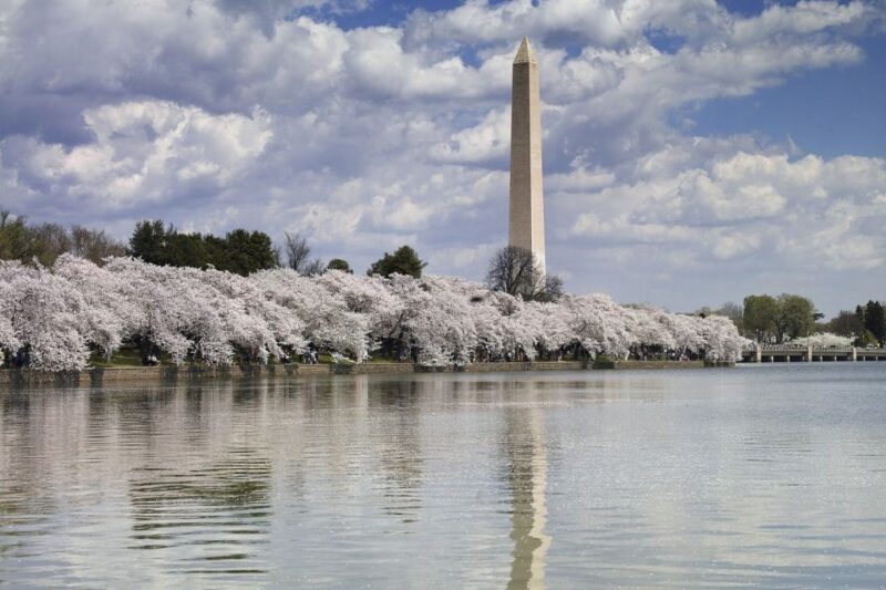 Washington DC: Half-Day Bus Tour with Optional Museum Ticket - Key Points