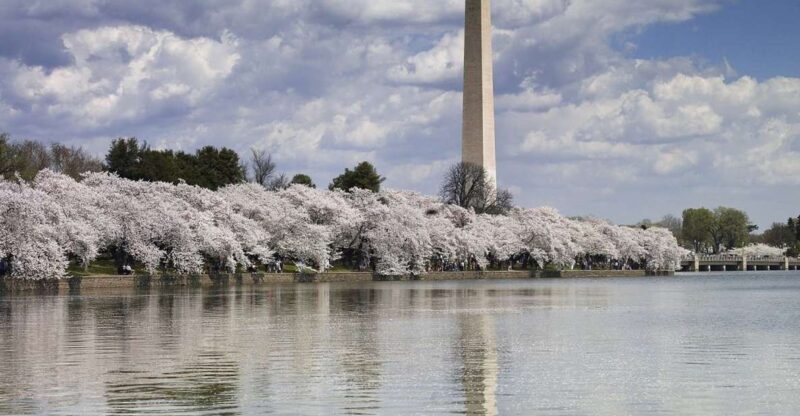 Washington DC: Half-Day Bus Tour with Optional Museum Ticket - FAQ