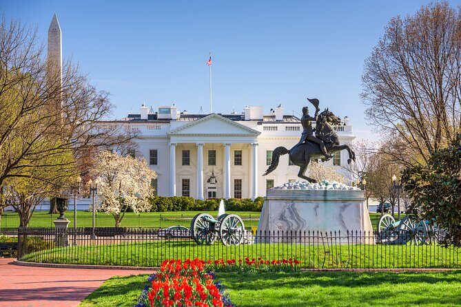 Washington DC Highlights: Private Half-Day Tour - Washington DC Highlights: Private Half-Day Tour — A Practical Guide for Visitors