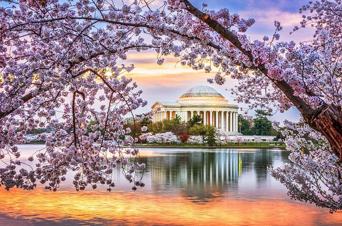 Washington DC Highlights: Private Half-Day Tour - FAQ
