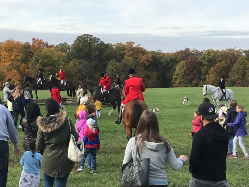 Washington DC: Mount Vernon Half-Day Tour - Authentic Experiences and Guest Feedback