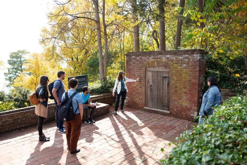 Washington DC: Mt. Vernon Day Trip with River Cruise - The Return Journey: Scenic Lunch and Reflection