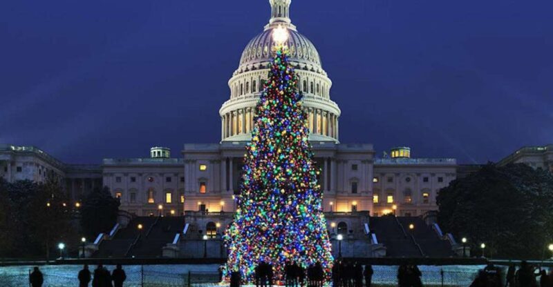 Washington, DC: National Mall and Memorials Moonlight Tour - A Deep Dive into the Tour Experience