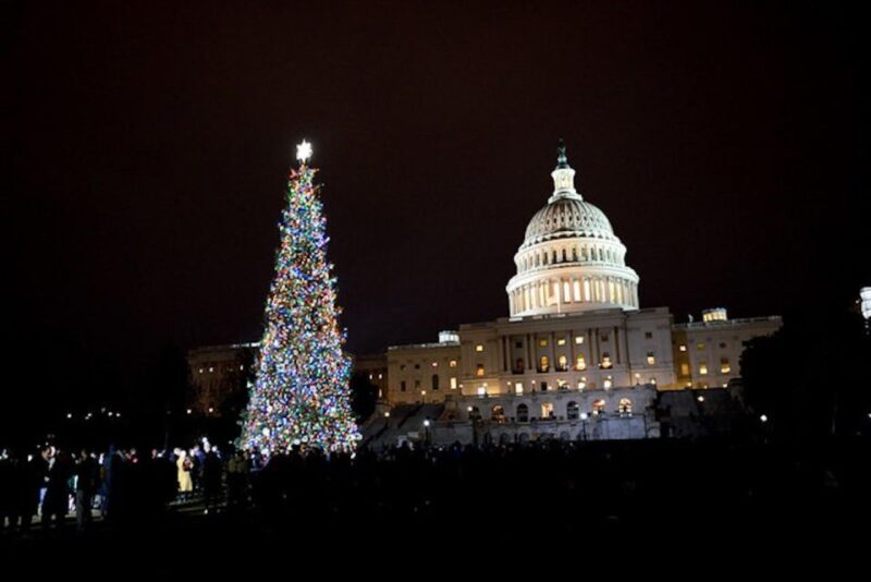 Washington, DC: National Mall and Memorials Moonlight Tour - The Sum Up