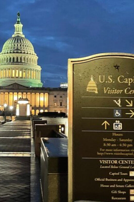 Washington DC: Sightseeing Day Hop-on Hop-off Shuttle Tour - The Sum Up