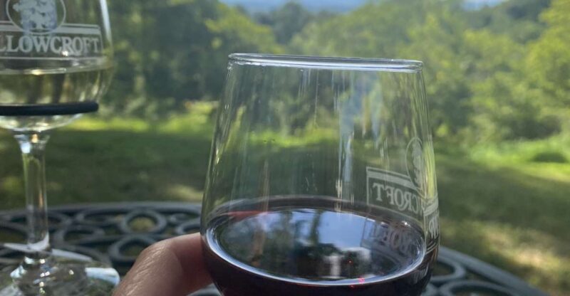 Washington, DC: Virginia Wine Region Experience Tour - Who Will Love This Tour?