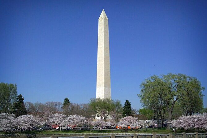Washington Monument Admission with Morning City Narrated Bus Tour - An In-Depth Look at the Tour Experience