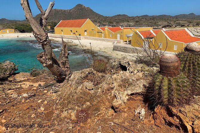 Washington Park Tour with Local Guide on Bonaire - A Deep Dive into the Washington Slagbaai National Park Tour