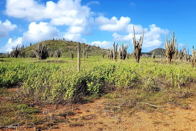 Washington Slagbaai National Park Tour in Bonaire - Final Thoughts