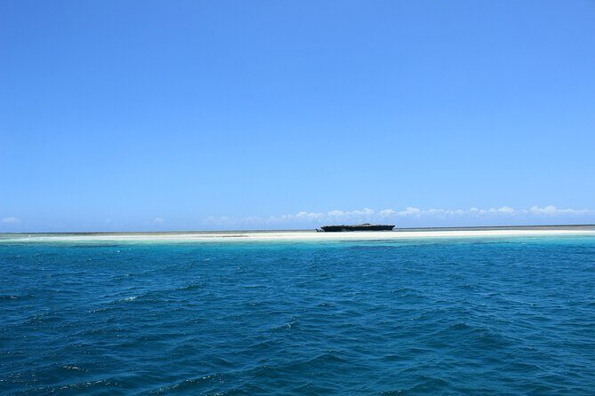 Wasini Day Tour - Introduction: A Coastal Kenyan Adventure with a Touch of History