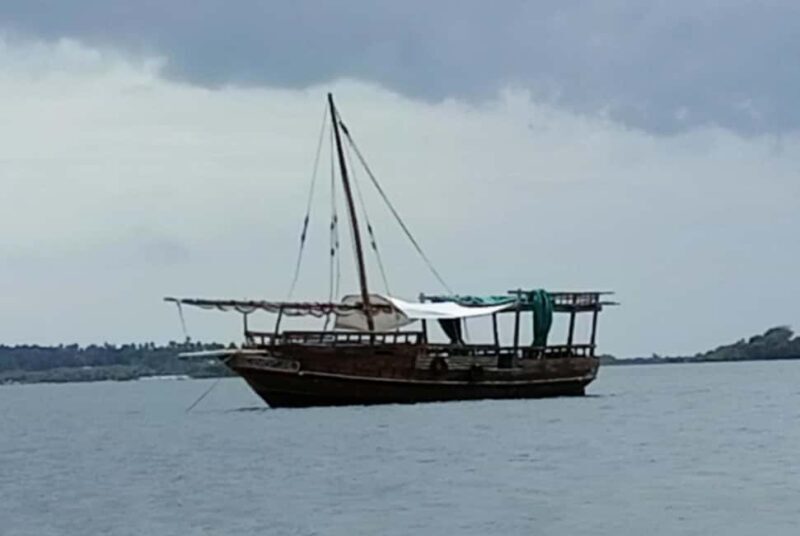 Wasini: Snorkelling & Dolphin Watching on a Dhow & Visit - Key Points