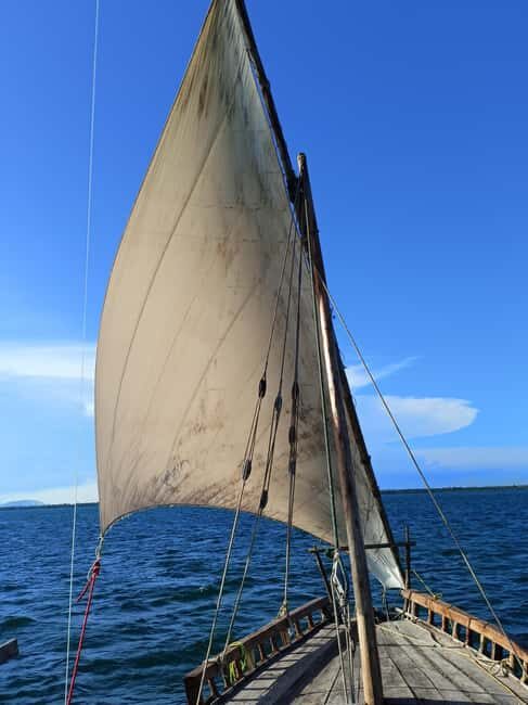Wasini: Snorkelling & Dolphin Watching on a Dhow & Visit - The Cruise & Marine Park Highlights
