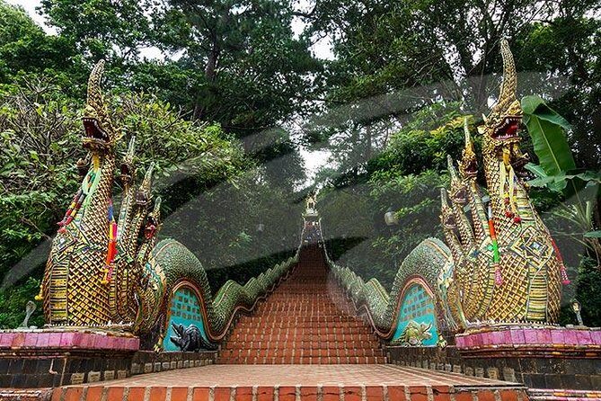 Wat Doi Suthep Temple and White Meo Hilltribe Village Half-Day Tour from Chiang Mai - Why Choose This Tour?