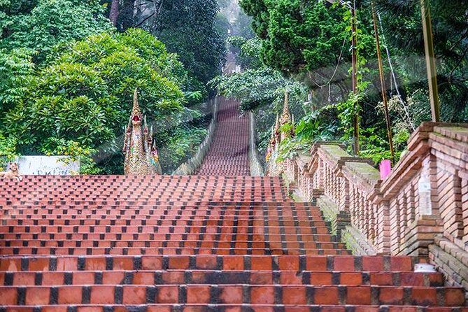 Wat Doi Suthep Temple and White Meo Hilltribe Village Half-Day Tour from Chiang Mai - The Sum Up