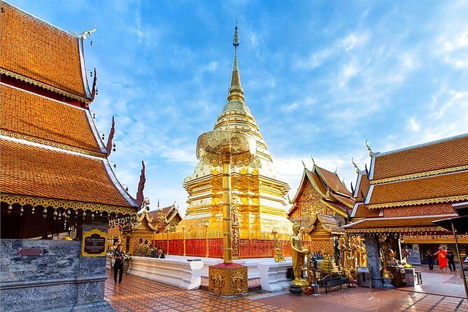Wat Prathad DoiSuthep Sunrise+Giving alms to the monks Private Tour - Value for Money