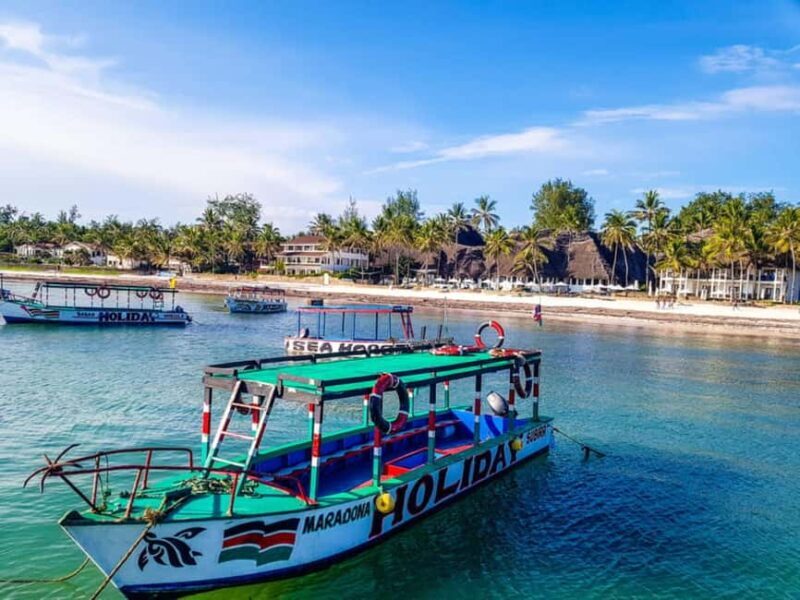Watamu: Marine Park Snorkeling and Dolphin Spotting Tour - Key Points