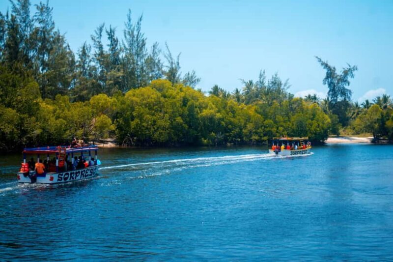 Watamu: Marine Park Snorkeling and Dolphin Spotting Tour - Exploring the Waters of Watamu Marine Park