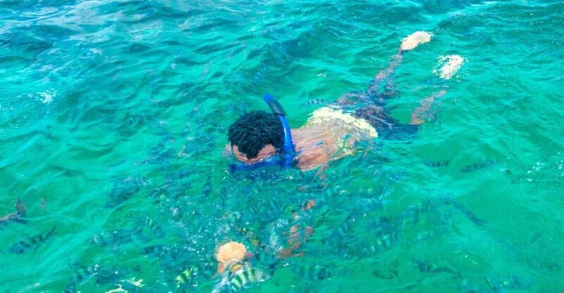 Watamu: Marine Park Snorkeling and Dolphin Spotting Tour - The Seafood Lunch: A Taste of the Coast
