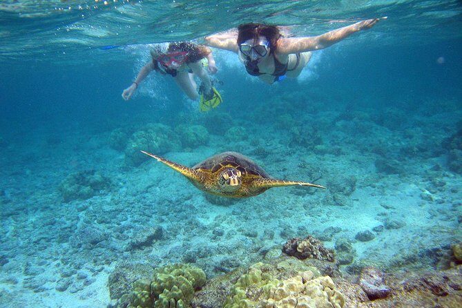 Watamu Marine Park & Sudi Island Mangrove Forest Canoe Ride.With sea food lunch - Introduction to the Tour: What It’s About