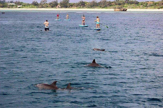 Watamu Marine Park & Sudi Island Mangrove Forest Canoe Ride.With sea food lunch - Sudi Island and Mangrove Canoe Ride