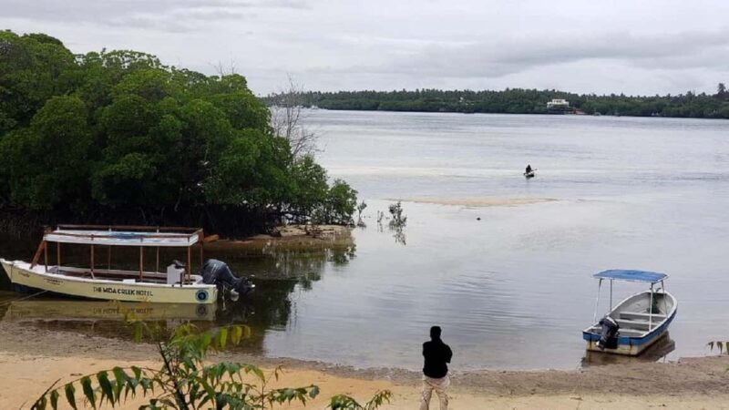 Watamu: Mida Creek Mangrove & Birdwatching Tour w/Boat Ride - An Honest Look at the Mida Creek Experience