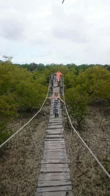 Watamu: Mida Creek Mangrove & Birdwatching Tour w/Boat Ride - The Sum Up