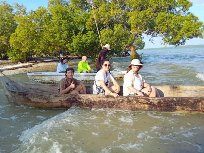 Watamu: Sunset Mangrove Canoe Tour with Coconut Drink - Final Thoughts