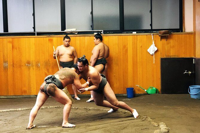 Watch Sumo Morning Practice at Stable in Tokyo - What to Expect During the Tour